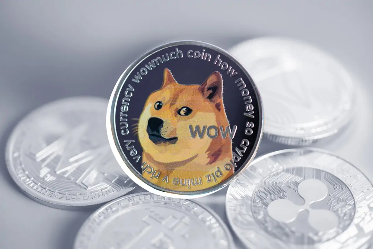 DOGE ve Bu 13 Altcoin İçin Müjde: Coinbase, Binance ve 6 Borsa Açıkladı!