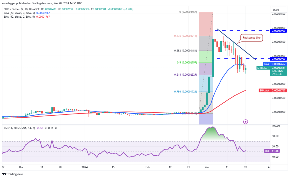 AVAX Coin